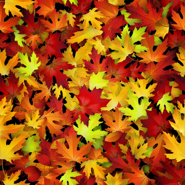 Autumn leaves vector backgrounds #2 (22 )