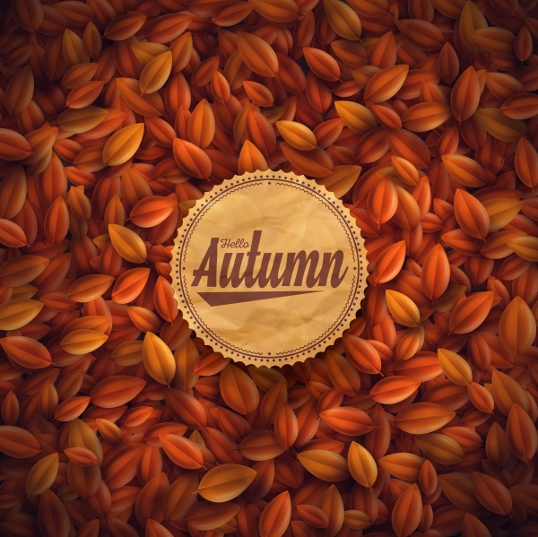 Autumn 7 |  7 (51 )