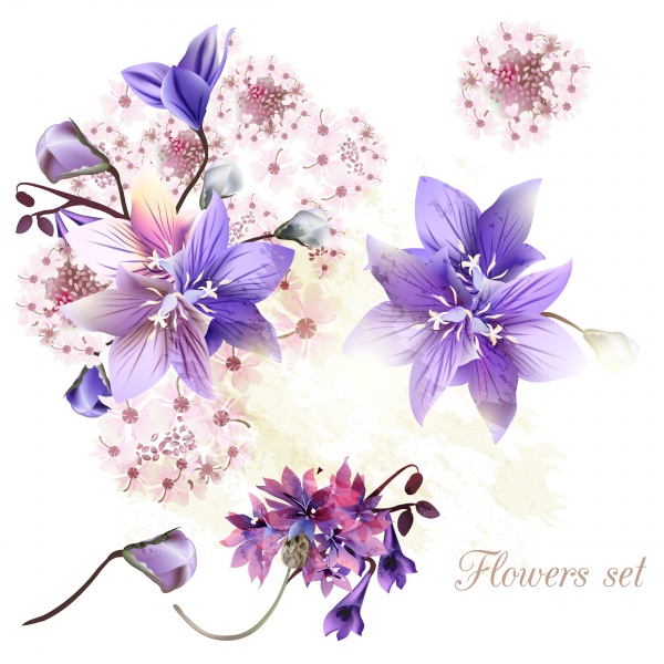 Floral clear background blue, pink and purple cornflowers (20 )