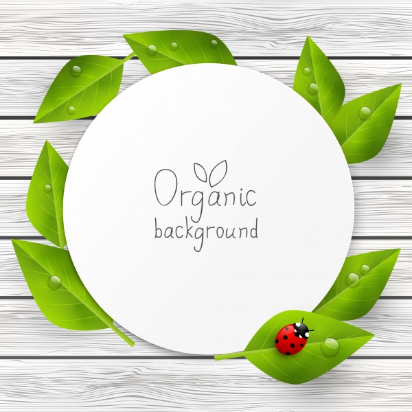   | Organic backgrounds (10 )