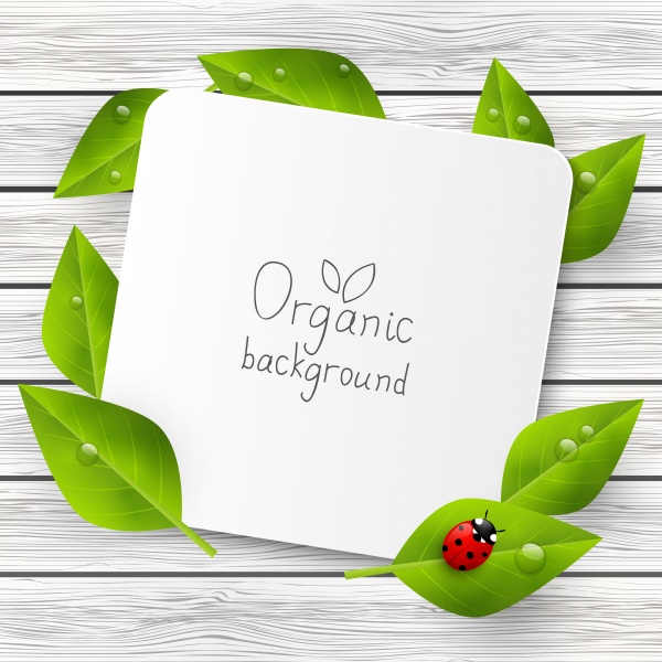   | Organic backgrounds (10 )