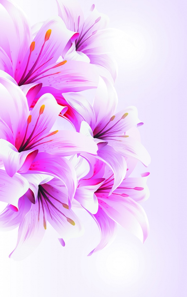 Collection backgrounds gentle flowers #1 (21 )