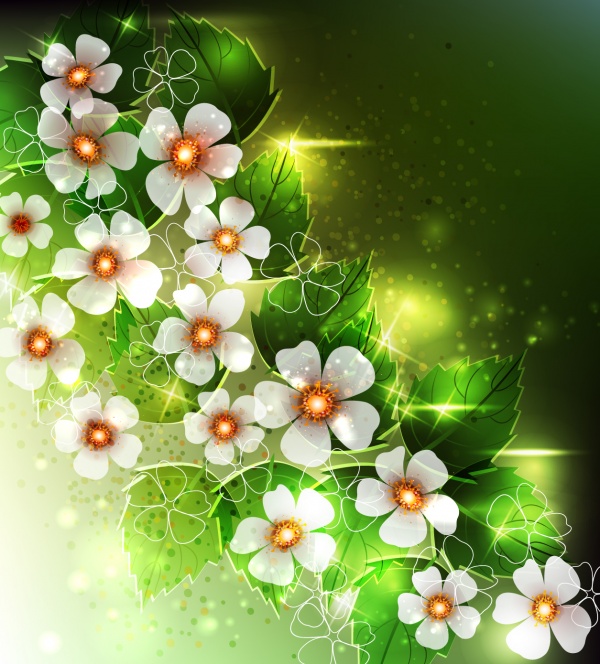 Collection backgrounds gentle flowers #1 (21 )