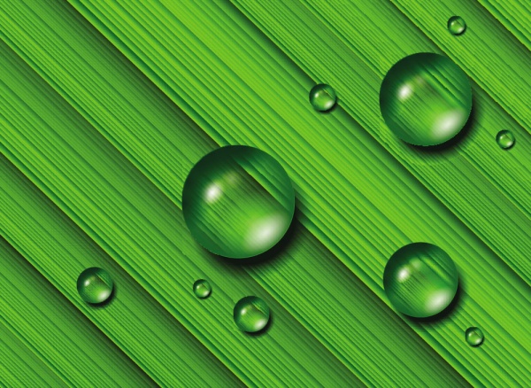 Green Grass Water Drops (40 )