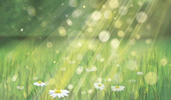 Vector backgrounds with Beautiful nature - 2 (53 )