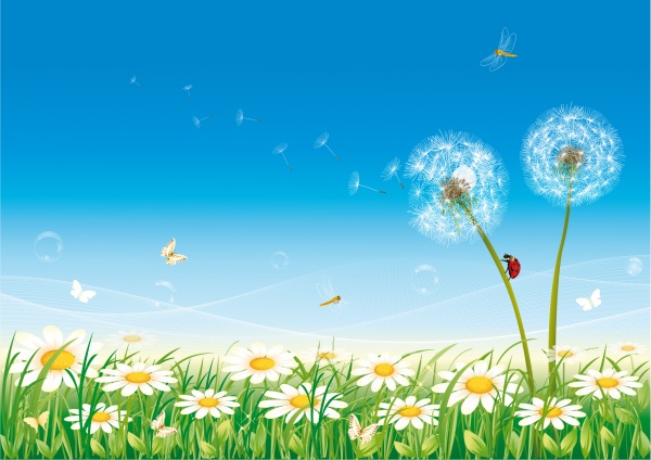Romantic vector background with flowers #5 (51 )