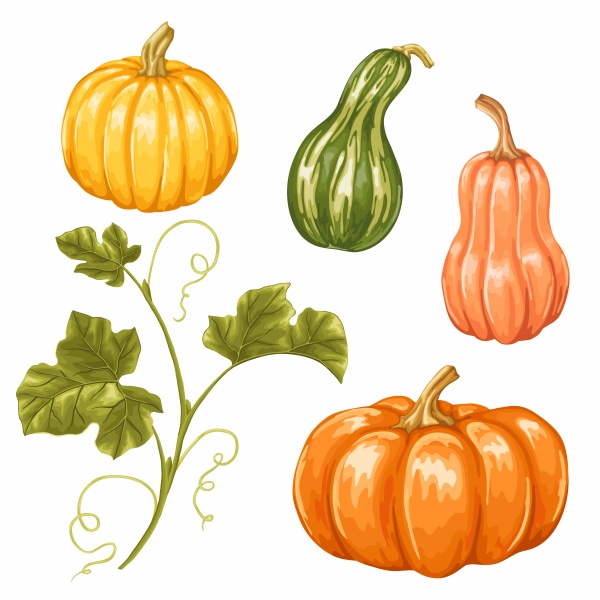 Autumn background with pumpkins, decorative illustration from vegetables and leaves (20 файлов)