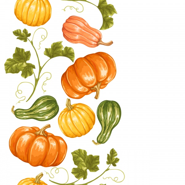Autumn background with pumpkins, decorative illustration from vegetables and leaves (20 )