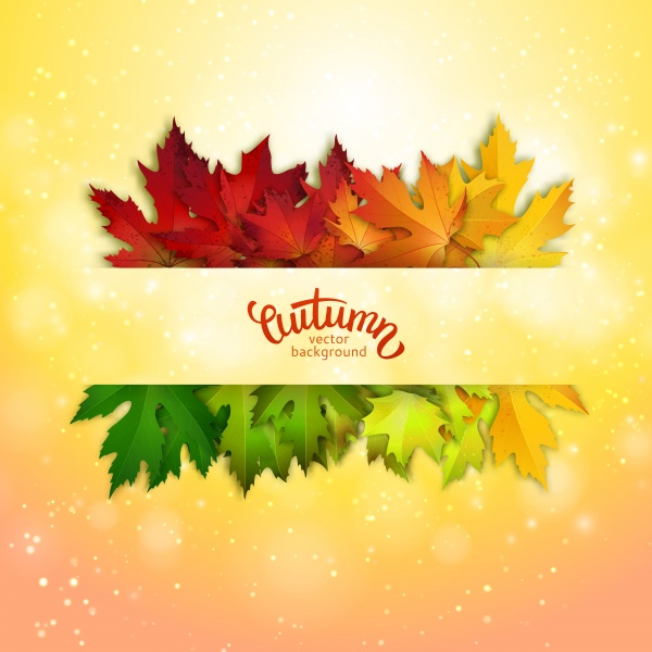 Autumn vector card, colorful autumn leaves background (14 )