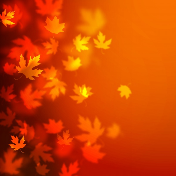 Autumn vector card, colorful autumn leaves background (14 )